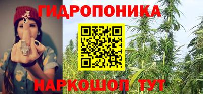 PSILOCYBIN Пушкино