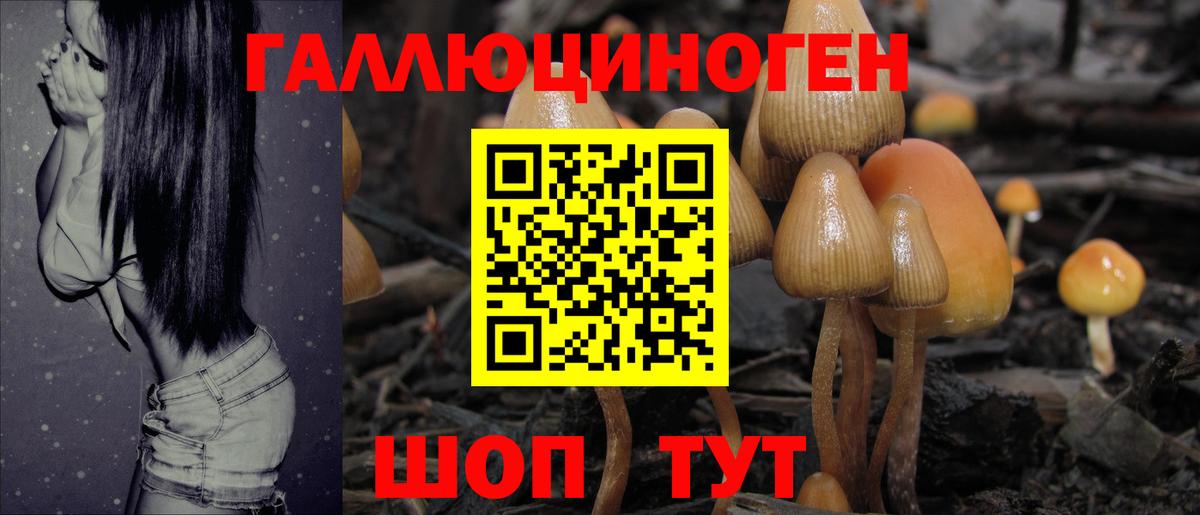 Санкт-Петербург  Псилоцибиновые грибы мицелий  Вход с VPN 